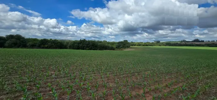 Fazenda para venda no PR. NOROESTE.