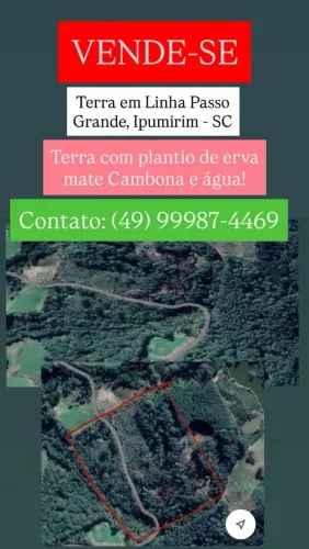 Terra para sítio com plantação de erva mate 