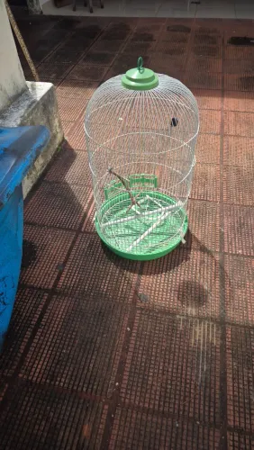 Vendo gaiola
