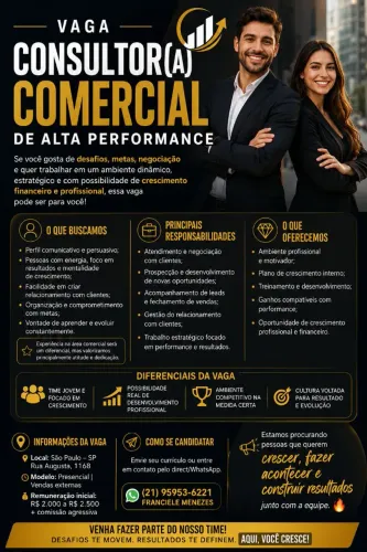 Consultor Comercial 