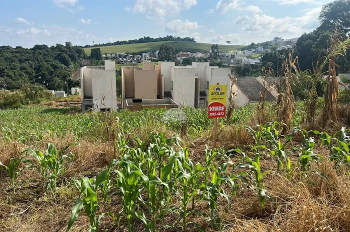 Vendas Terreno Pato Branco PR