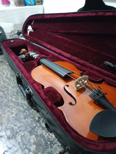 Violino