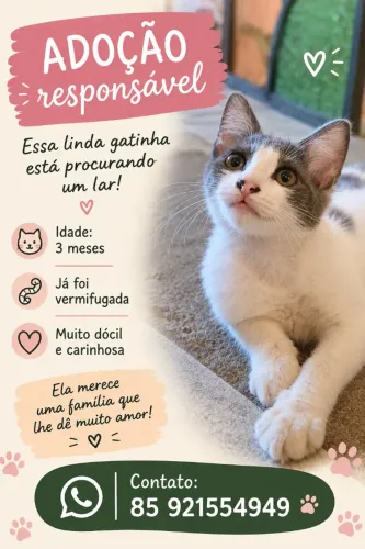 Adoção de uma gatinha