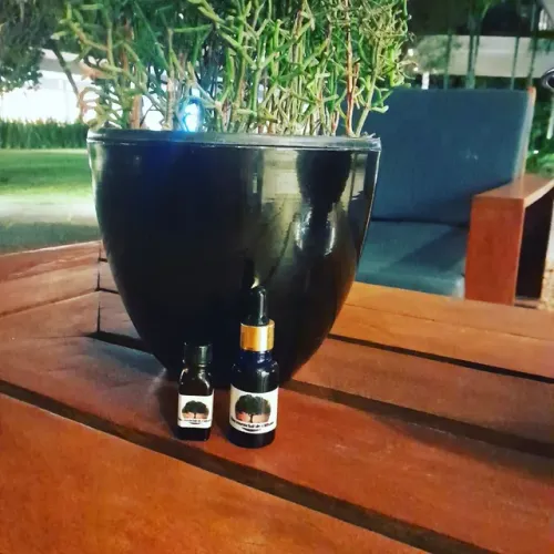 Óleos de alecrim/ lavanda/olíbano