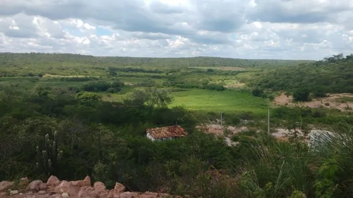 Vendo Fazenda no Araripe-Ce