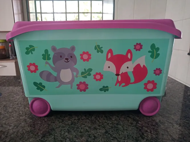 Caixa organizadora 50 l.