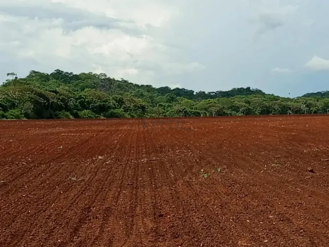 FAZENDA EXCLUSIVA A VENDA 1900ha BONITO/MS