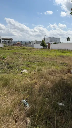 LOTE COMERCIAL À VENDA ÀS MARGENS DA PE - VITÓRIA DE SANTO ANTÃO/PE