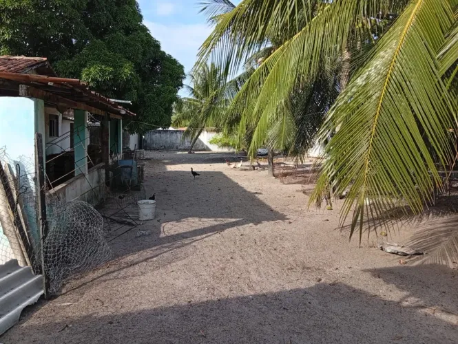 GRANJA