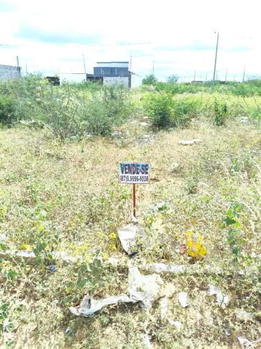Terreno no bairro nova petrolina quitado 