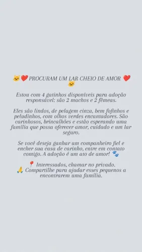 Gatos para adoção 