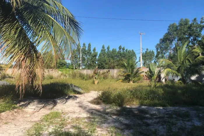 Lindo Sítio - Venda - Cavalo Bravo - Preá