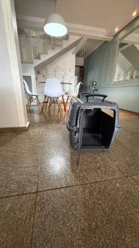 Caixa de transporte para cães porte médio/grande - grade metálica