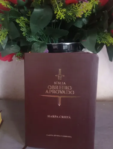 Bíblia de estudo