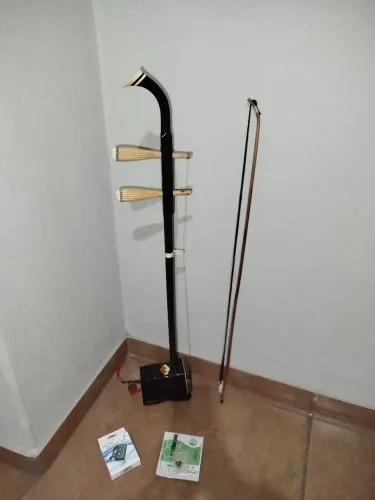 Violino