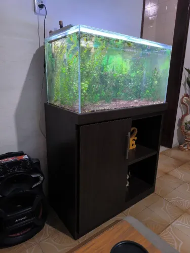 Aquário completo