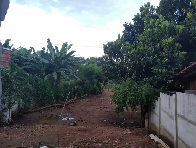 Imóvel para aluguel com 343 metros quadrados com 3 quartos em Vila Irany - Goiânia - GO