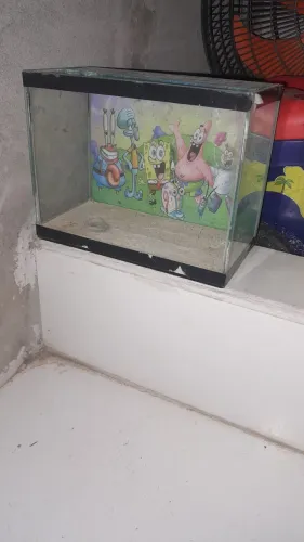 Aquario para peixe beta