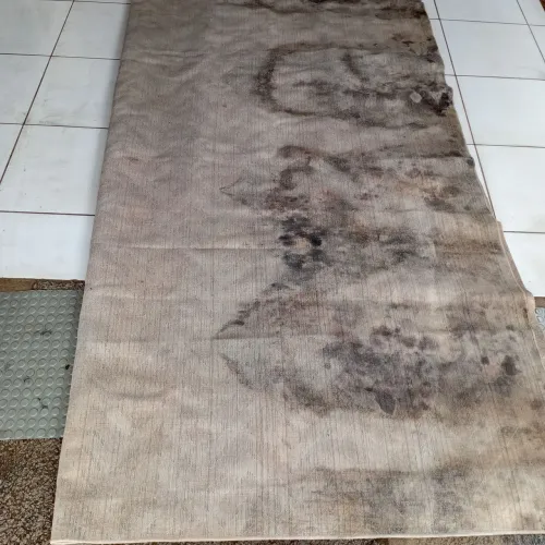 Empresa do RN, atendo de ceará mirim à pipa sem cobrar taxa de deslocamento