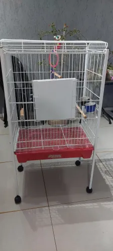 Gaiola para pássaros 