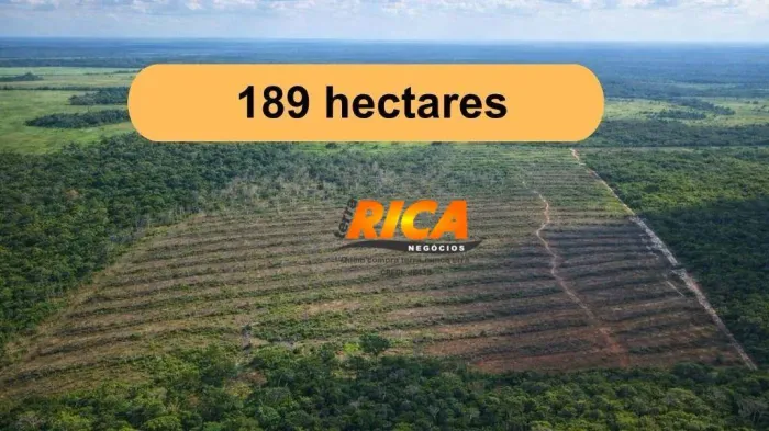 Vende-se Fazenda com 60 Hectares de Pasto Preço de Ocasião