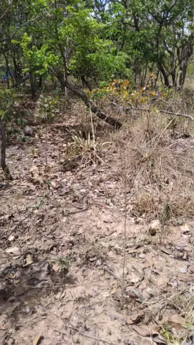 Terreno de 5.000 metros 