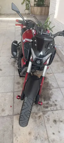 Fz15 2024