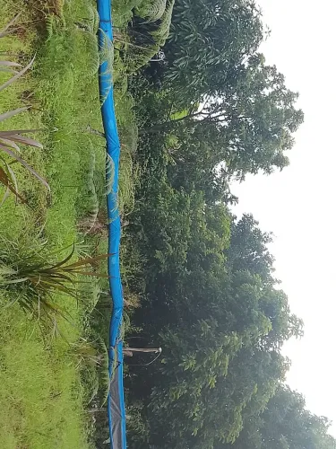Paraguaçu 