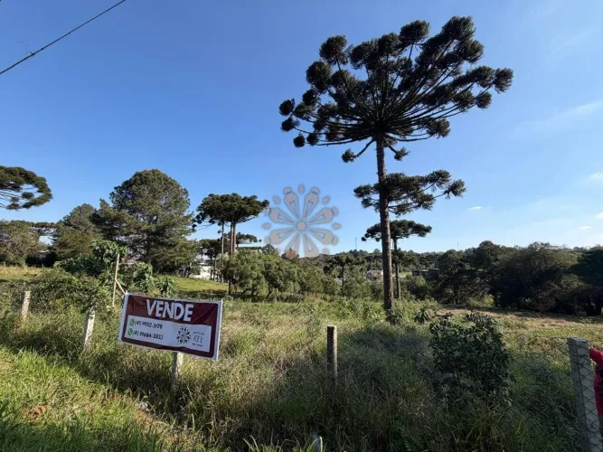Terreno de 5.594 m² | Excelente para Investimento e Incorporação | Aceita Permuta