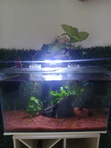 Aquario 50 litros