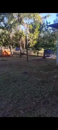 Vende-uma chácara no km 9 da Estrada de Porto Acre a 300 metros do asfalto