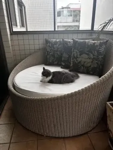 Chaise com 3 almofadas