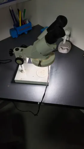 Microscópio binocular