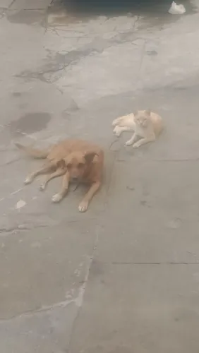 Doação para quem cuida com carinho 