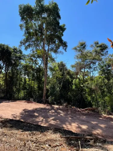 Mairinque em Alta: Terrenos de 1.000 m² com Vista para São Roque