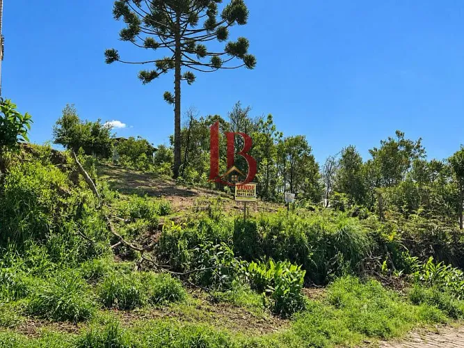 Terreno à venda no bairro São Caetano com 409,54 m²