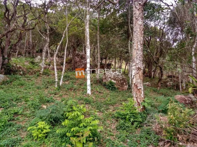 Terreno à venda, 2972 m² em Sambaqui - Florianópolis/SC