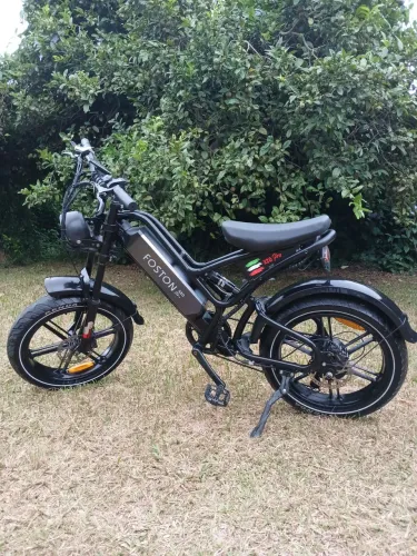 Bicicleta elétrica foston Mx20 pro