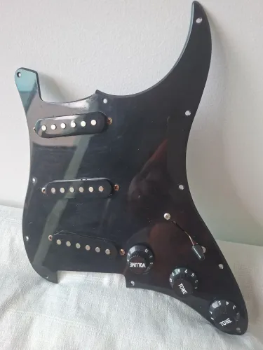 Escudo completo Guitarra ( fotos reais)
