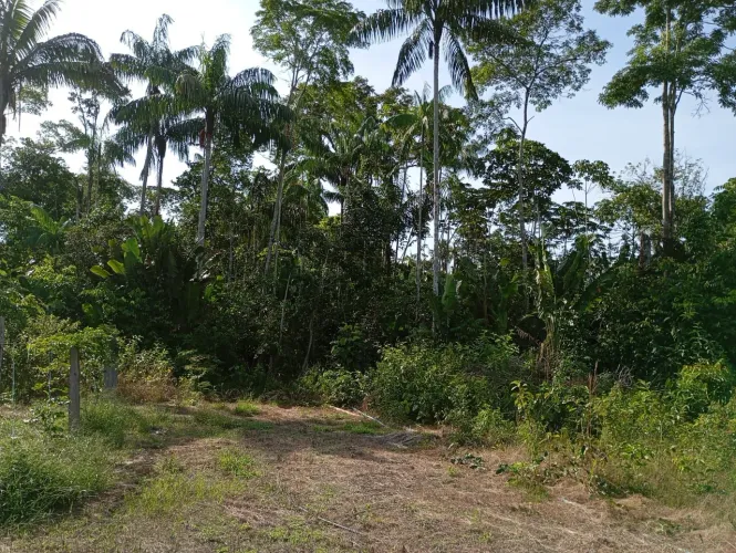 Terreno Cantá vic 21 PA Caferana