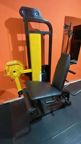 CADEIRA EXTENSORA E MESA FLEXORA