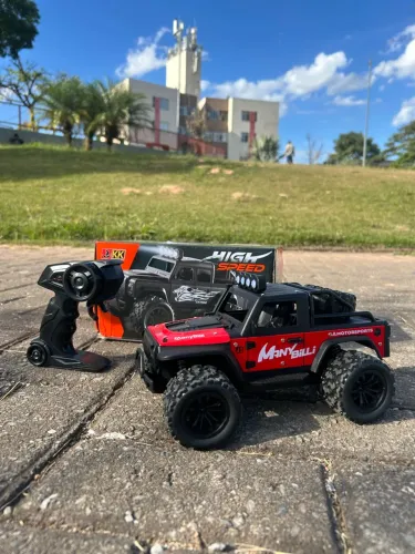 Carrinho de controle remoto off road