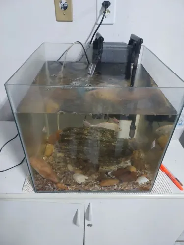 Aquário 64lts completo
