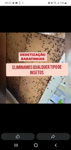 Garanta um ambiente limpo e livre dos insetos