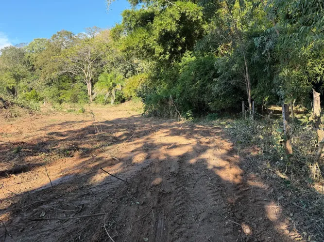 Vendo lote para pesqueiro na beira do rio - Barão de melgaço