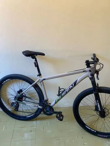 BIKE ARO 29