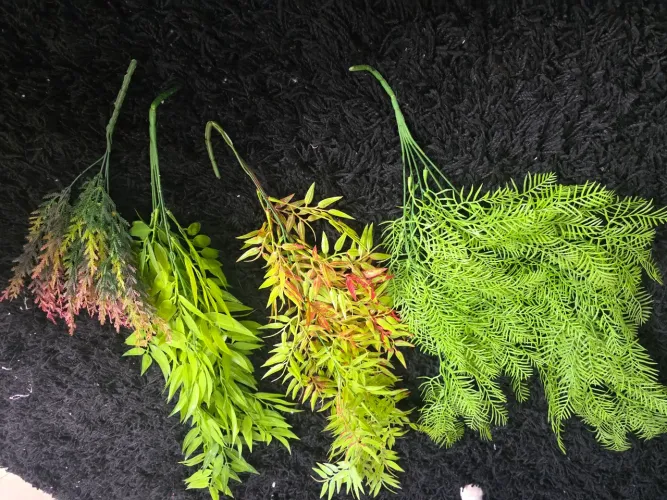 Chocadeira pra peixe mais plantas aquáticas