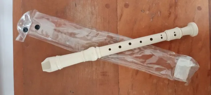 Flauta doce para iniciantes?