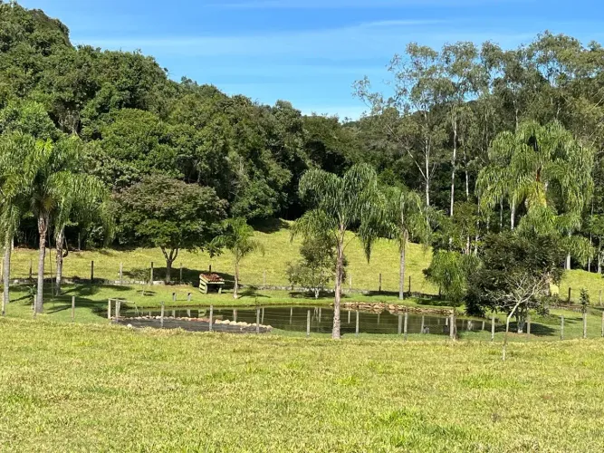 sitio 2.5 alqueires pra Haras em Joanópolis SP
