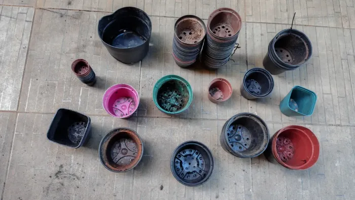 Mais de 50 vasos para planta